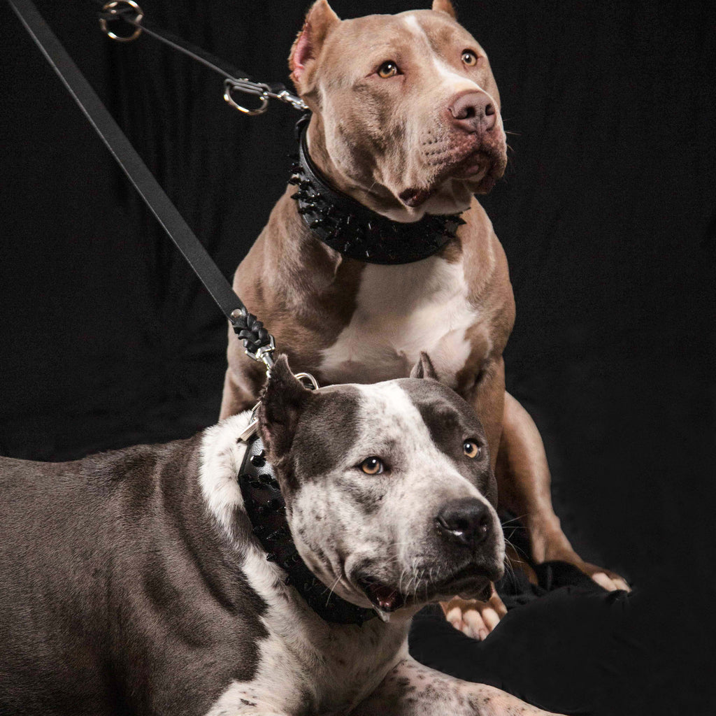 Bestia Premium Brand Multi Purpose Police Leash