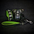 The ''Bijou'' SET -  Collar, Harness, Leash. Green Color, Bestia Premium Brand