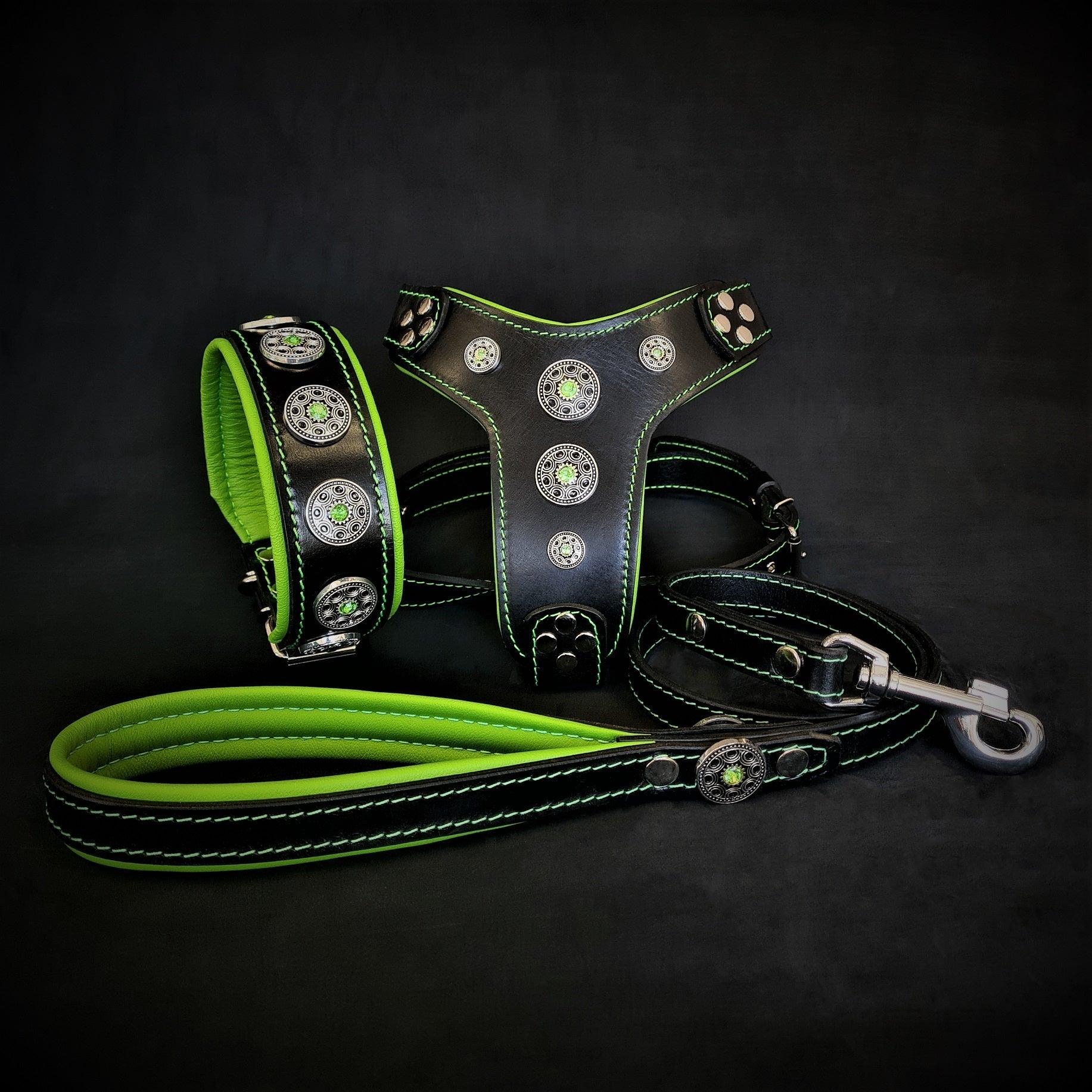 The ''Bijou'' SET -  Collar, Harness, Leash. Green Color, Bestia Premium Brand