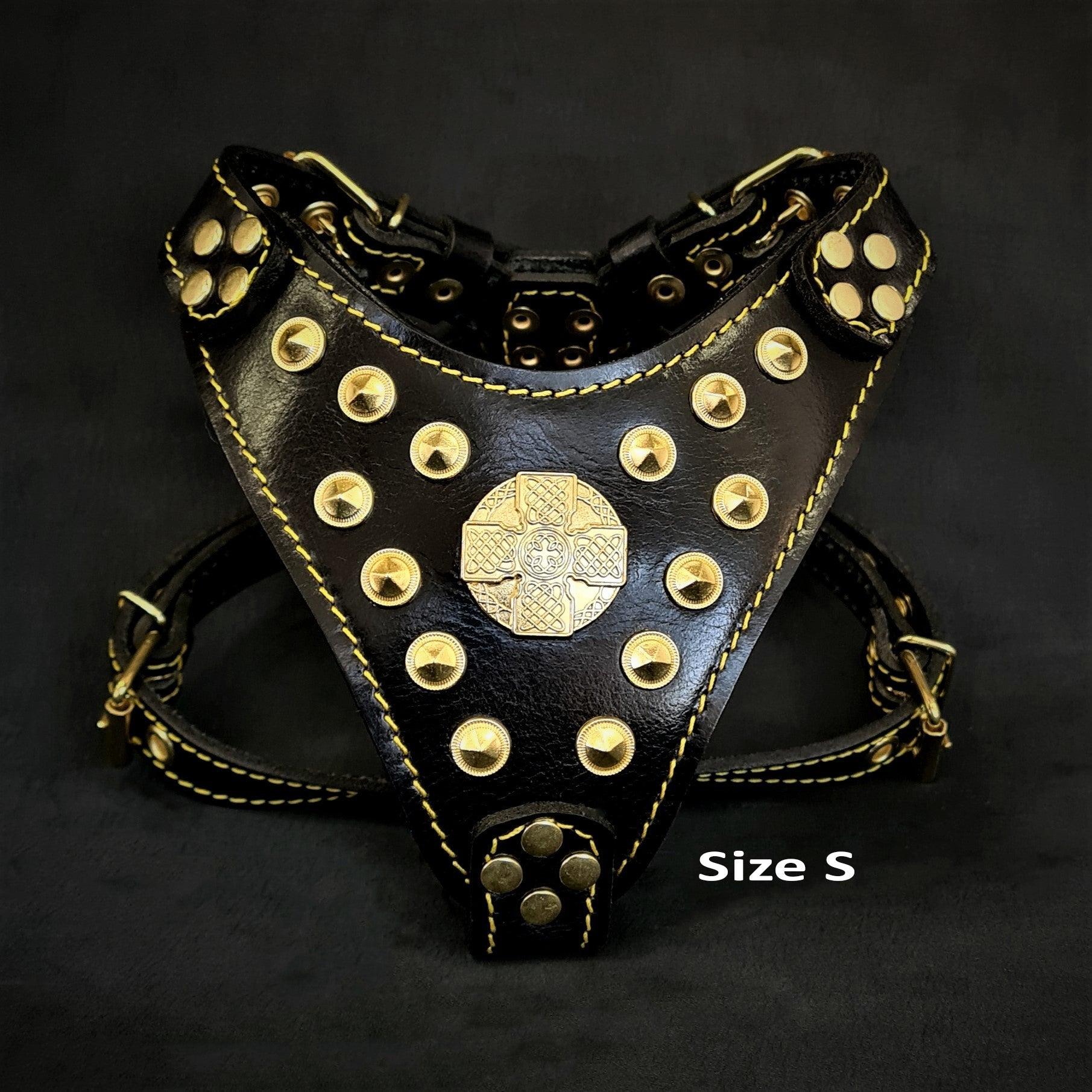 The ''Maximus'' Harness Black & Gold, Small to Medium Size