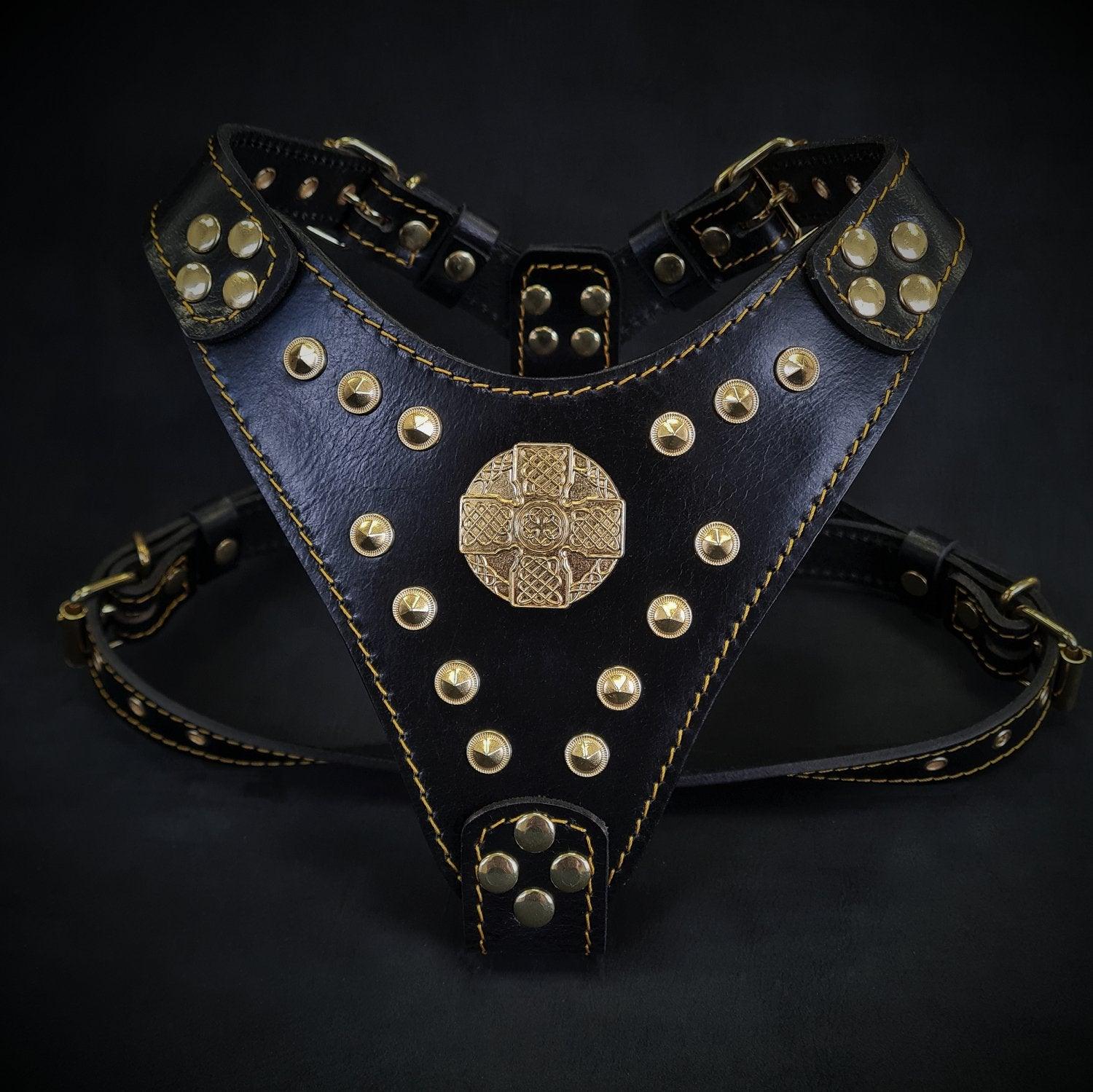 The ''Maximus'' Harness Black & Gold, Small to Medium Size